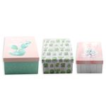 Set-3-Cajas-De-Carton-Cactus-Rectangular-D5-1-844373