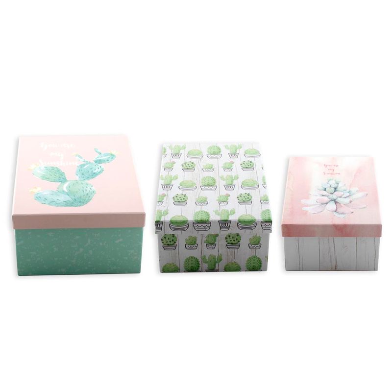 Set-3-Cajas-De-Carton-Cactus-Rectangular-D5-1-844373