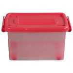 Caja-Org-25lt-C-rued-Color-Trans-4c-Aa-P-2-851114