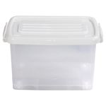 Caja-Org-25lt-C-rued-Color-Trans-4c-Aa-P-3-851114