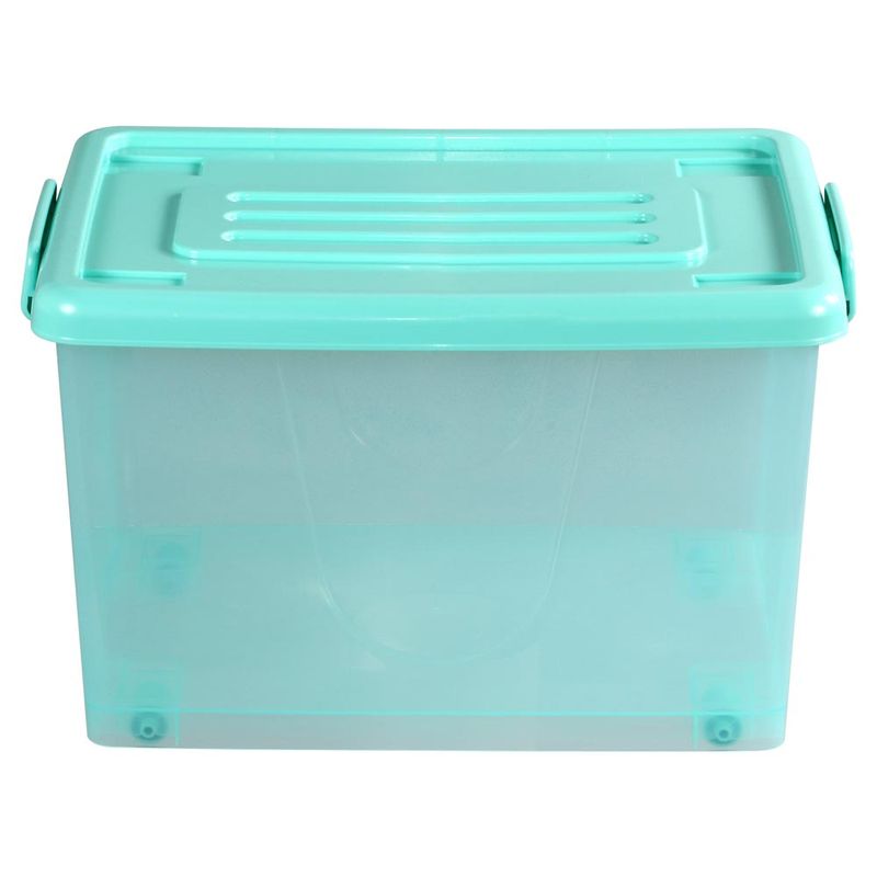 Caja-Org-50lt-C-rued-Color-Trans-3c-Tt-P-2-851119