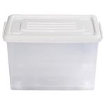 Caja-Org-50lt-C-rued-Color-Trans-3c-Tt-P-3-851119