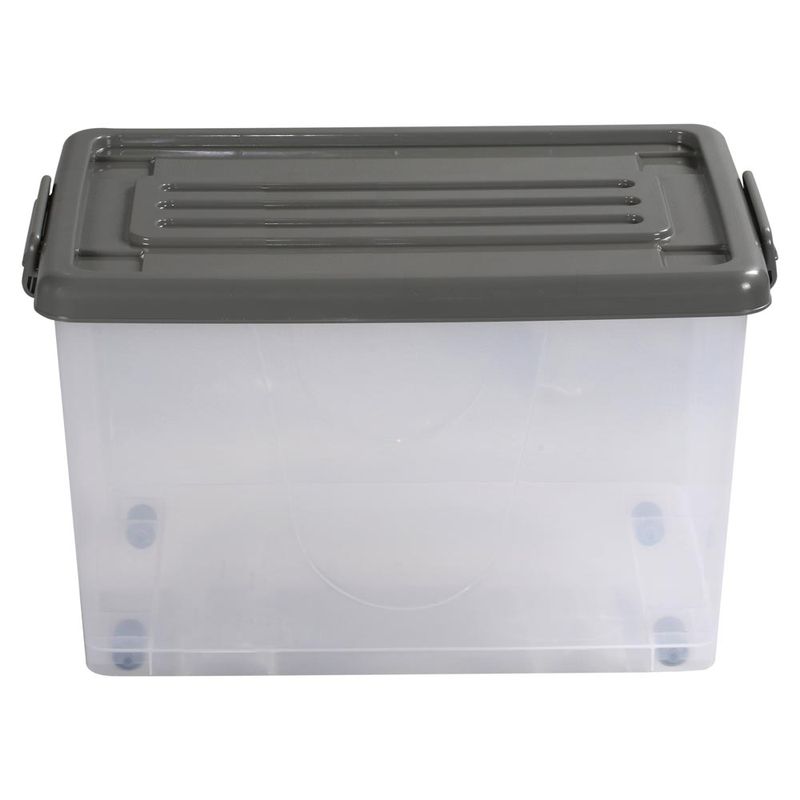 Caja-Org-50lt-C-rued-Color-Trans-3c-Tt-P-4-851119