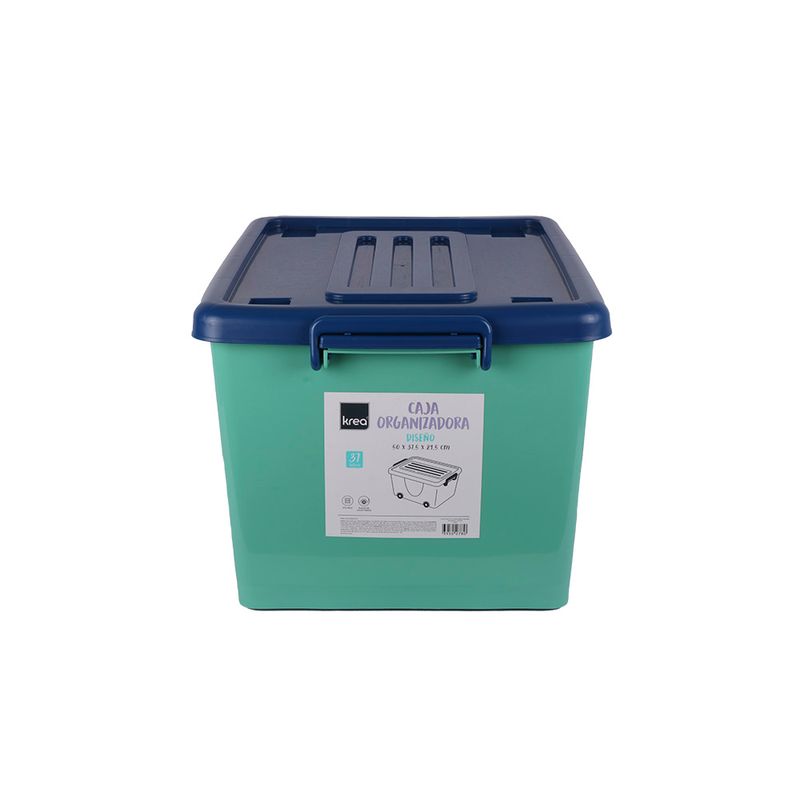 Caja-Plast-37-Lt-C-ruedas-Teen-Boy-Pv21-3-851365