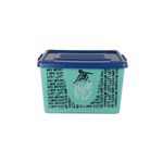 Caja-Plast-37-Lt-C-ruedas-Teen-Boy-Pv21-1-851365