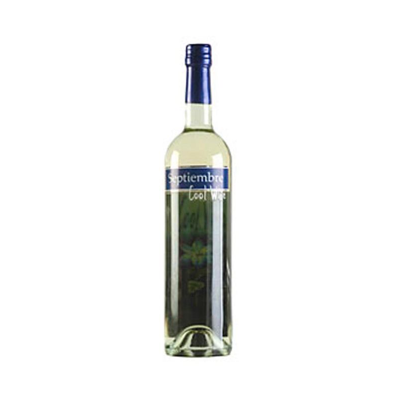 Vino-Blanco-Fino-Septiembre-750-Cc-1-248790