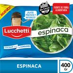 Espinaca-Congelada-Lucchetti-400-Gr-1-577845