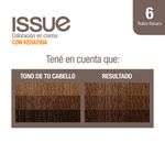 Coloraci-n-Issue-Permanente-Tono-06-2-19641