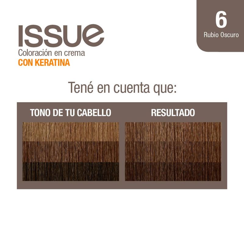 Coloraci-n-Issue-Permanente-Tono-06-2-19641
