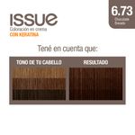 Coloraci-n-Issue-Permanente-Tono-6-73-2-1351