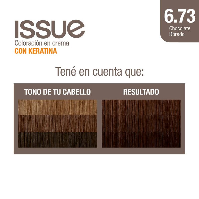 Coloraci-n-Issue-Permanente-Tono-6-73-2-1351