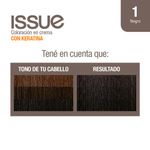 Coloraci-n-Issue-Permanente-Tono-01-2-19600