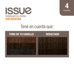 Coloraci-n-Issue-Permanente-Tono-04-2-19606