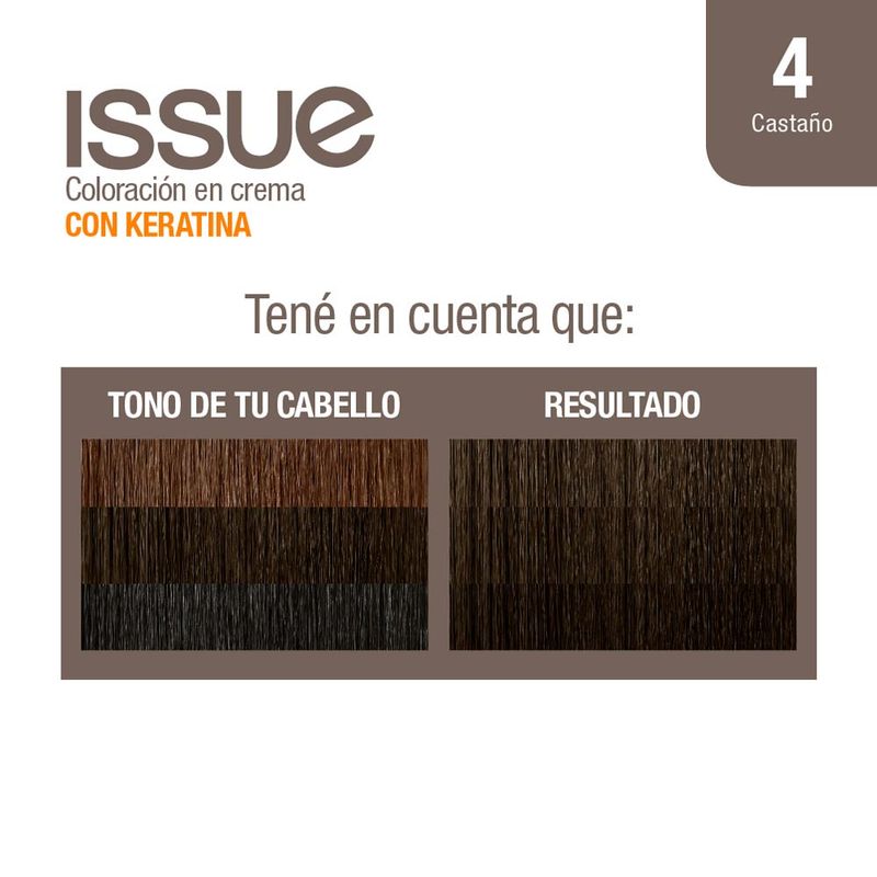 Coloraci-n-Issue-Permanente-Tono-04-2-19606