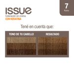 Coloraci-n-Issue-Permanente-Tono-07-2-19618