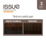 Coloraci-n-Issue-Permanente-N-3-2-251977