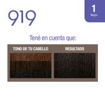Coloraci-n-919-Permanente-N-1-Negro-2-434758