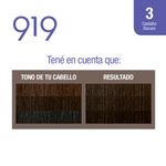 Coloraci-n-919-Permanente-N-3-Casta-o-Oscuro-2-434756