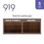 Coloraci-n-919-Permanente-N-5-Casta-o-Claro-2-434767