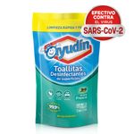 Toallitas-Desinfectantes-Ayud-n-35-U-2-24993