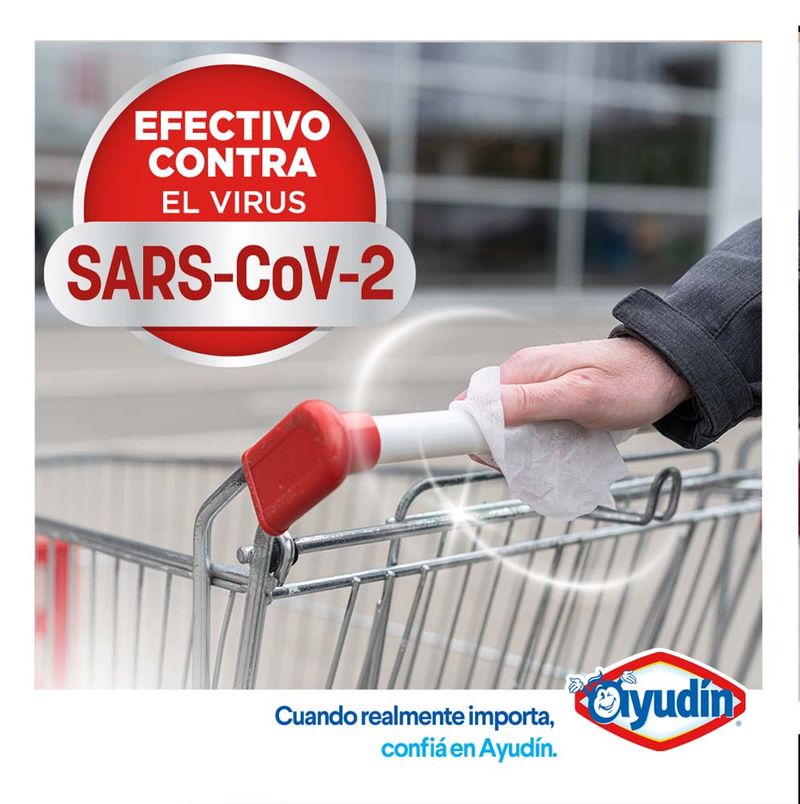 Ayudin-Toallitas-Desinfectantes-Lim-n-24-U-3-849898