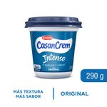 Queso-Crema-Casancrem-Intenso-Pote-290g-1-858979