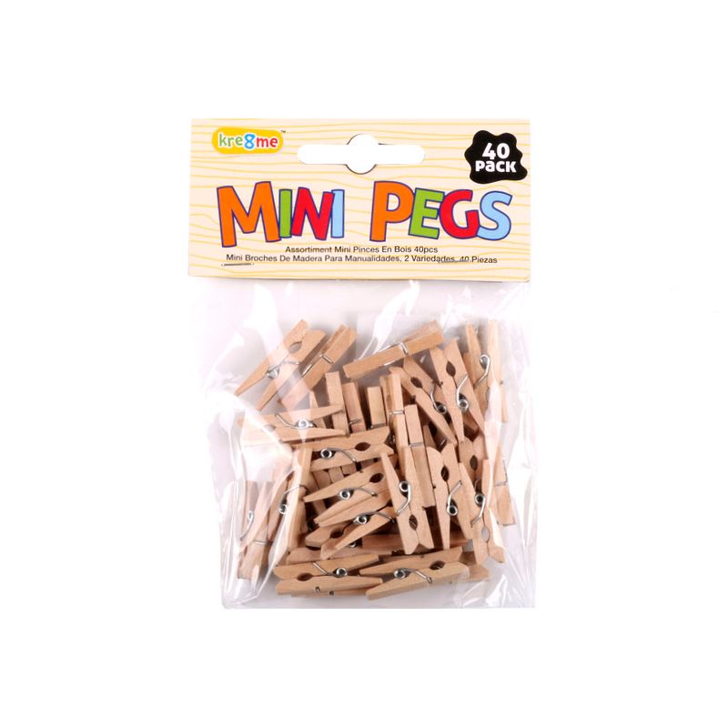 Mini-Broches-Natural-X-24-Un-1-832375