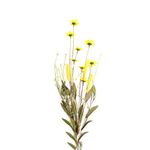 Flor-De-Tallo-Mediano-D8-70-Cm-Plastico-1-844117