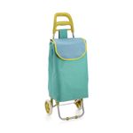 Carro-De-Compras-Color-Aqua-95-36-27-Cm-1-852066