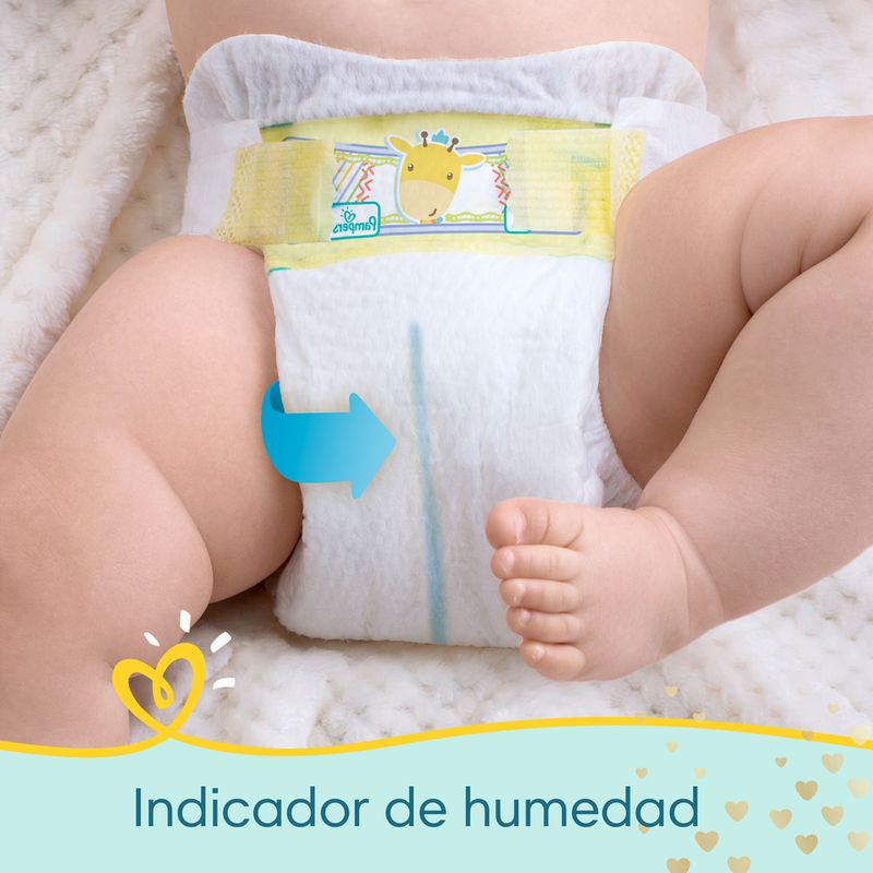 Pa-ales-Pampers-Recien-Nacido-Nb-4-862883