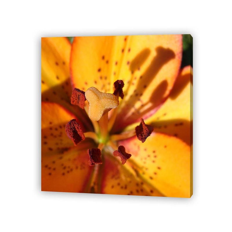 Pdq-Canvas-20-X-20-Cm-Mundos-01-16d-Canvas-12-852248