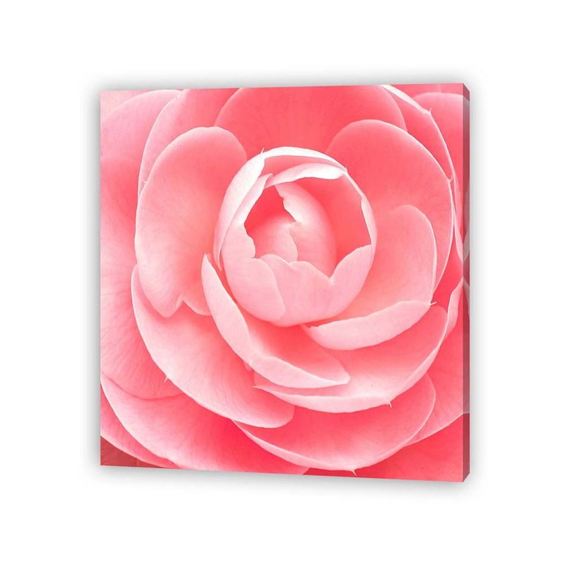 Pdq-Canvas-20-X-20-Cm-Mundos-01-16d-Canvas-13-852248