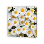 Pdq-Canvas-20-X-20-Cm-Mundos-01-16d-Canvas-14-852248