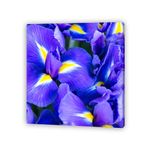Pdq-Canvas-20-X-20-Cm-Mundos-01-16d-Canvas-15-852248