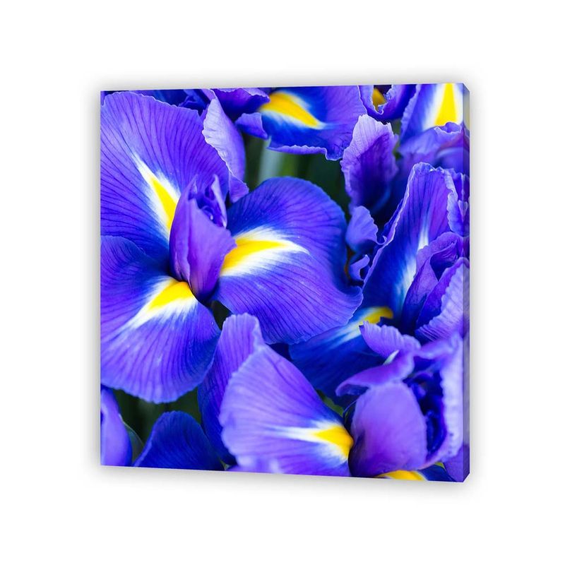 Pdq-Canvas-20-X-20-Cm-Mundos-01-16d-Canvas-15-852248
