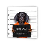 Pdq-Canvas-20-X-20-Cm-Mundos-01-16d-Canvas-8-852248