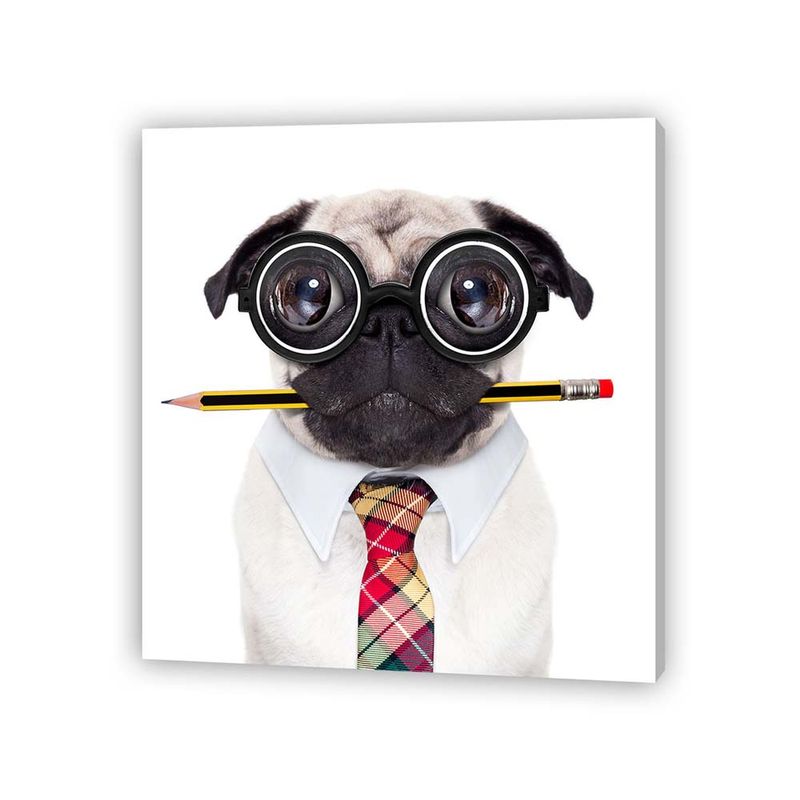 Pdq-Canvas-20-X-20-Cm-Mundos-01-16d-Canvas-9-852248