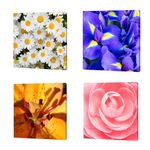 Pdq-Canvas-20-X-20-Cm-Mundos-01-16d-Canvas-1-852248