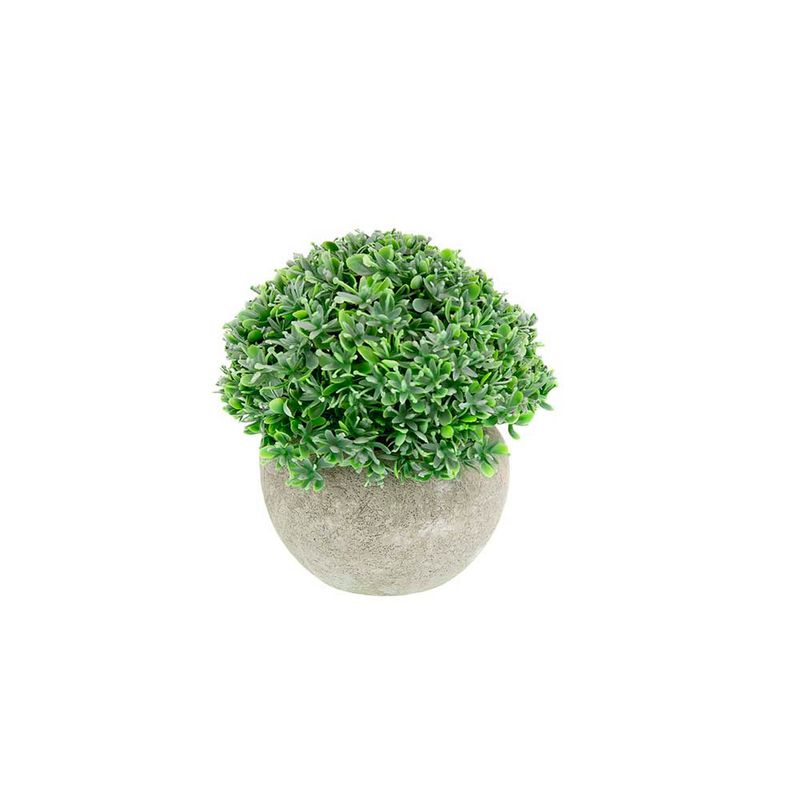 Planta-En-Maceta-Rocio-Oscuro-A-12cm-S-m-1-869658