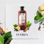 Acondicionador-Herbal-Essences-B-o-renew-Vitamin-E-Cocoa-Butter-400-Ml-4-250698
