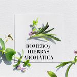 Acondicionador-Herbal-Essences-B-o-renew-Rosemary-Herbs-400-Ml-5-250697