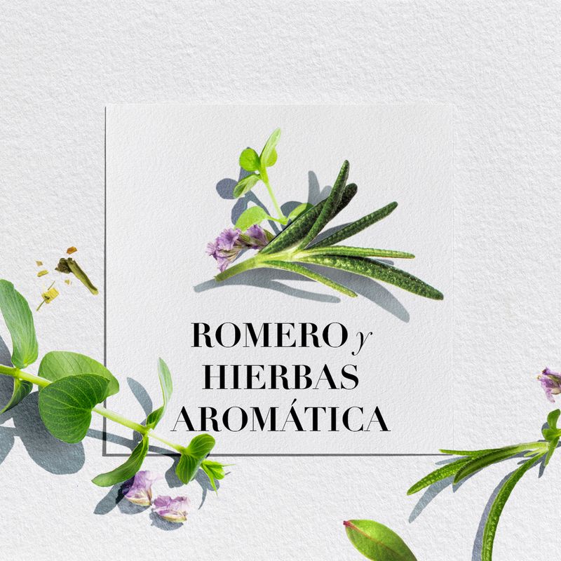 Acondicionador-Herbal-Essences-B-o-renew-Rosemary-Herbs-400-Ml-5-250697