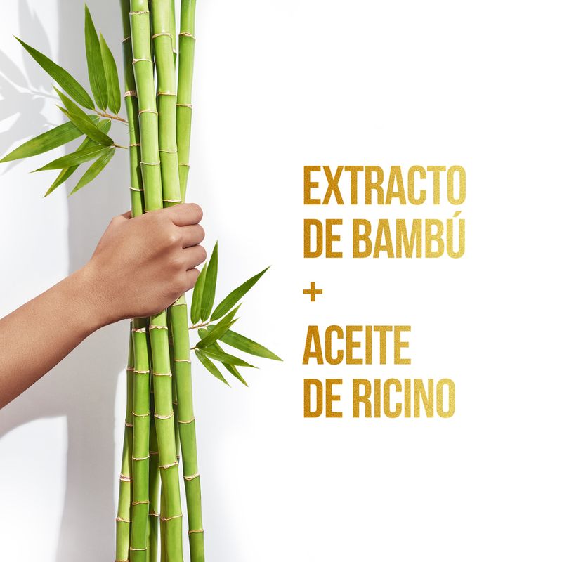 Shampoo-Pantene-Bambu-200-Ml-4-854266