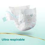 Pa-ales-Pampers-Premium-Care-6-862884