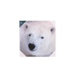 Pdq-Canvas-40-X-40-Cm-Mundos-01-9d-Canvas-2-852250