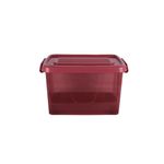 Caja-Organizadora-25l-Rueda-Color-Transparente-3c-Aa-Pp-5-852036
