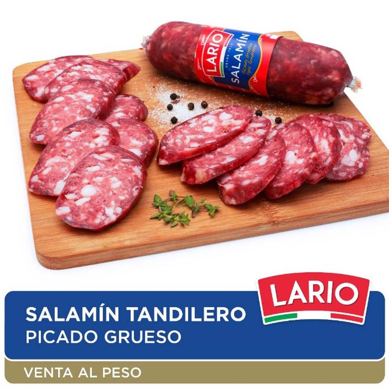 Salam-n-Lario-Picado-Grueso-Tipo-Tandilero-X-Kg-1-248500