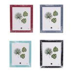 Portaretrato-Colores-20-X-25-Cm-4c-Pvc-1-852135