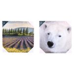 Pdq-Canvas-40-X-40-Cm-Mundos-01-9d-Canvas-1-852250