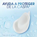 Acondicionador-Head-Shoulders-Purificacion-Capilar-300-Ml-5-843481